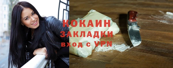 твердый Алексин
