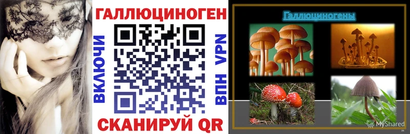 где найти   Железногорск-Илимский  гидра как войти  Галлюциногенные грибы Magic Shrooms 