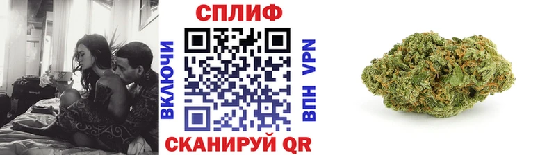купить закладку  Железногорск-Илимский  Бошки Шишки OG Kush 
